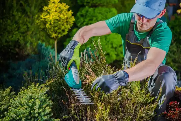 landscaping services Mecosta